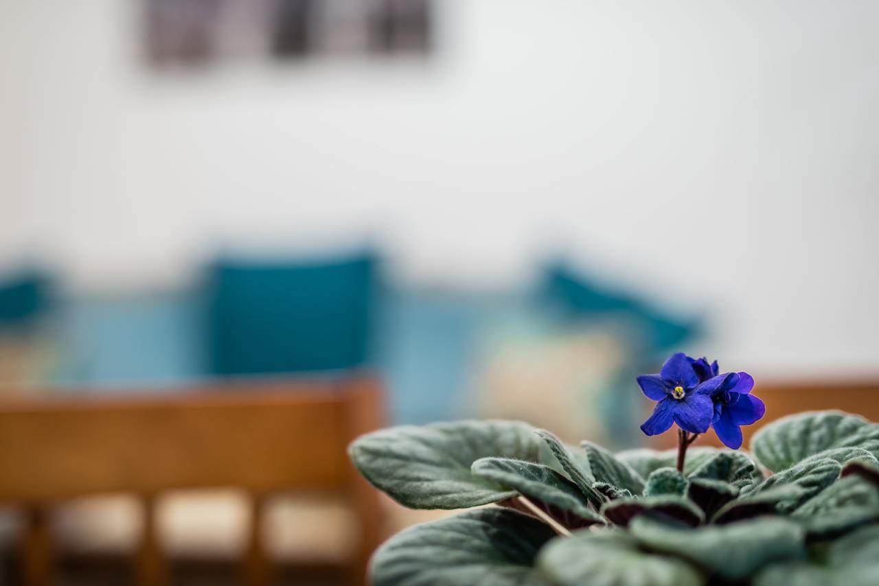 Apartamenty Bosacka Wawelofts คราคูฟ ภายนอก รูปภาพ